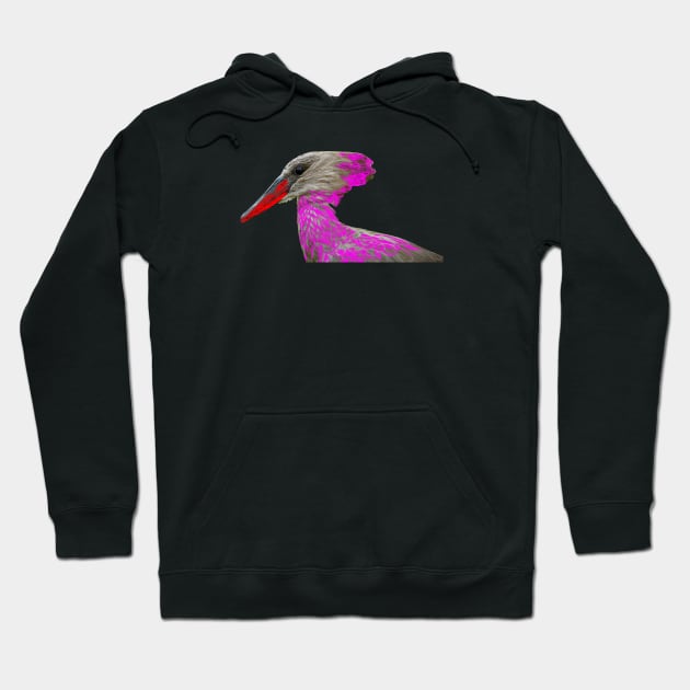 Bird / Swiss Artwork Photography Hoodie by RaphaelWolf